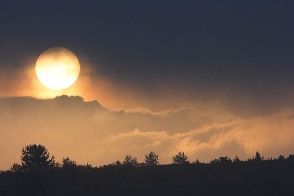 Un matin du monde 1