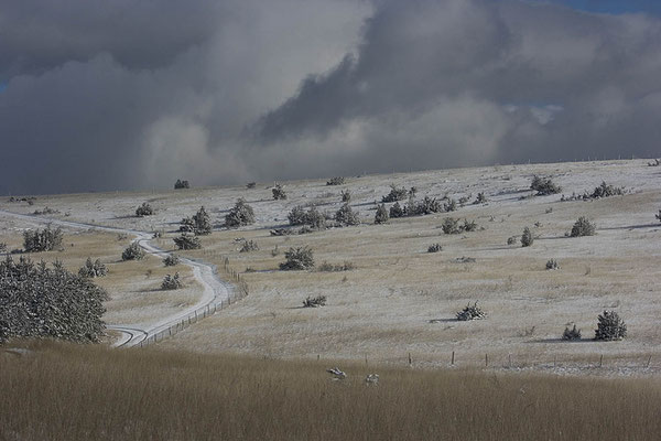 Causse de Sauveterre sous la neige 4