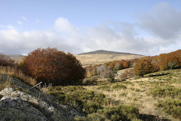 Mont Lozère