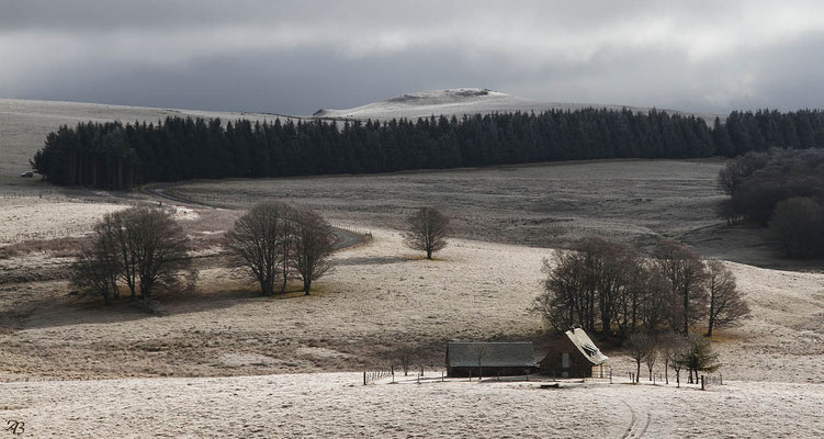 Aubrac 1