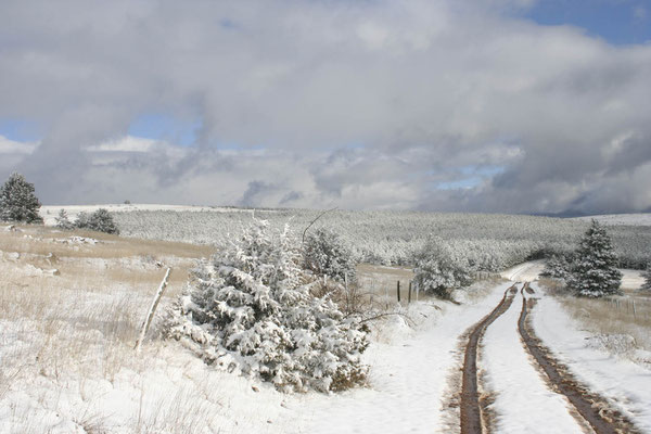 Causse de Sauveterre sous la neige 3