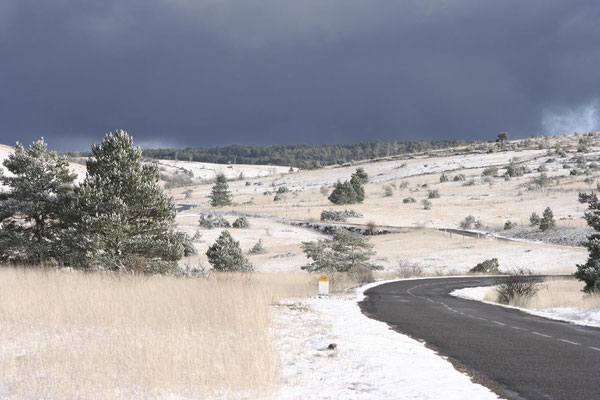 Causse de Sauveterre sous la neige 2