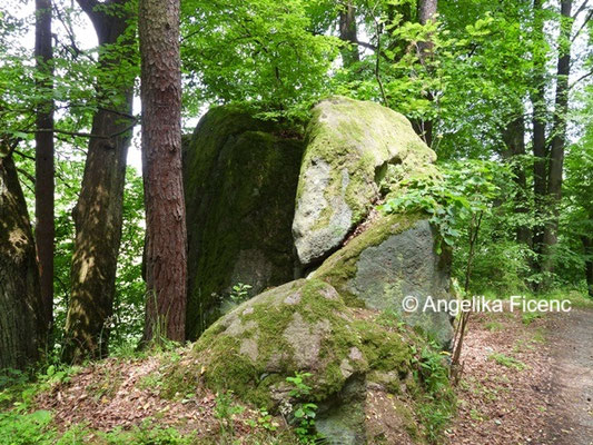 Felsen © Mag. Angelika Ficenc 