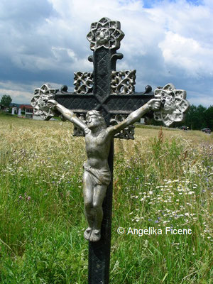Kreuz bei B41 © Mag. Angelika Ficenc 