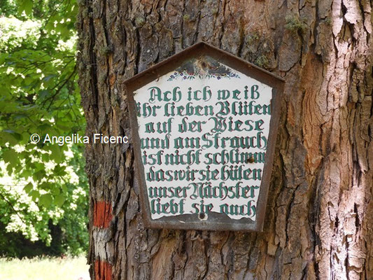 Bildbaum mit Spruch © Mag. Angelika Ficenc