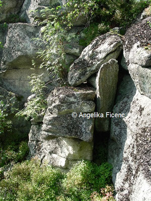Naturdenkmal Mandelstein  © Mag. Angelika Ficenc