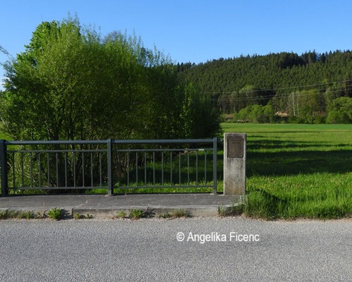 Mühlbachbrücke © Mag. Angelika Ficenc 