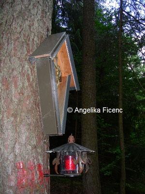 Auberg-Bildbaum © Mag. Angelika Ficenc