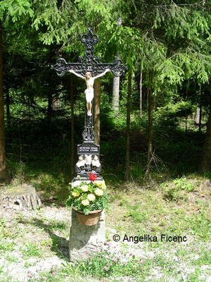 Kreuz in Richtung Heinrichs © Mag. Angelika Ficenc