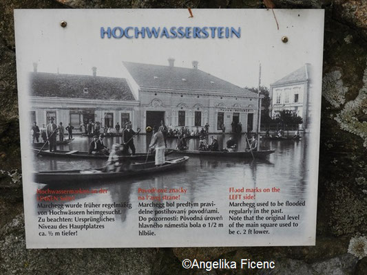 Hochwasserstein ©Mag. Angelika Ficenc 