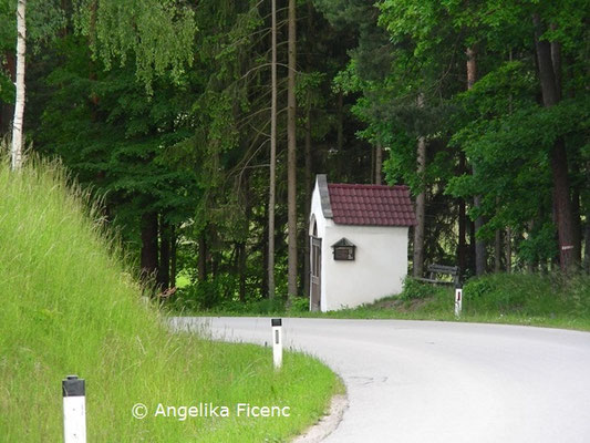 Schiefes Marterl © Mag. Angelika Ficenc
