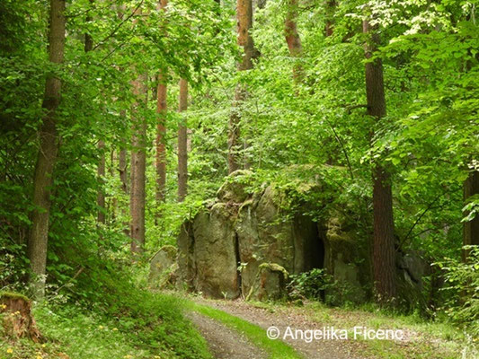 Felsen © Mag. Angelika Ficenc 