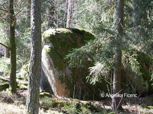 Felsen © Mag. Angelika Ficenc 