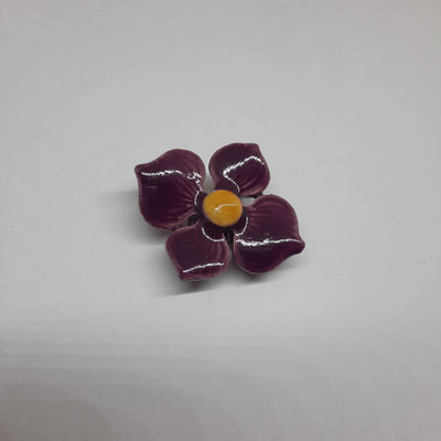 Viola