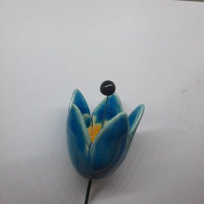 Turchese