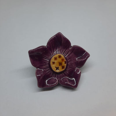 Viola