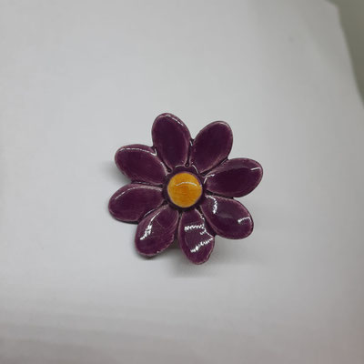 Viola