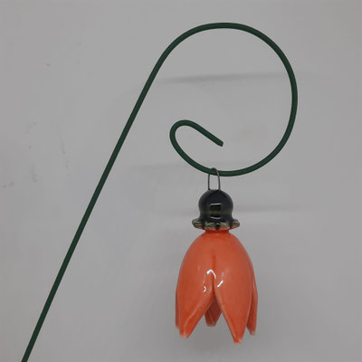 Arancio vivace