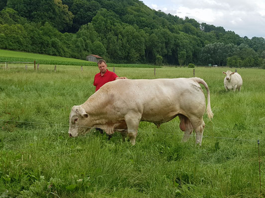 Dirk und Bulle Hansi auf der Wiese hinter dem Kuhstall