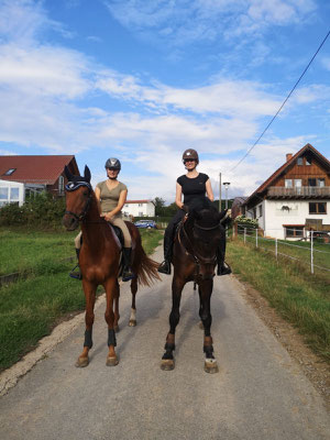 Das Glück der Erde...liegt eindeutig auf dem Rücken der Zwerger Pferde