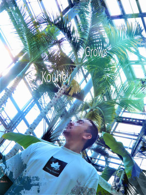 大阪のゲイマッサージGrows（グローズ）の男性セラピストKouhey（コウヘイ）。温室のヤシの木を見上げる爽快な紹介画像。リゾート風リラクゼーション。