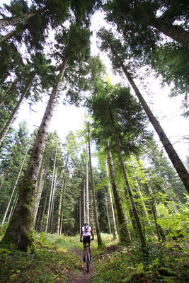 Ronde VTT des 3 Quilles - ©Photo : Sylvain Dossin - Pyrénées Audoises Tourisme