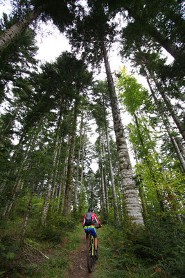 Ronde VTT des 3 Quilles - ©Photo : Sylvain Dossin - Pyrénées Audoises Tourisme