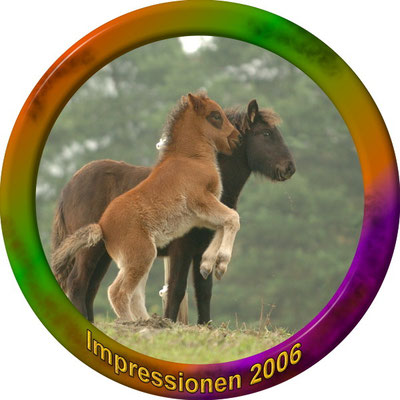 klick auf Impressionen 2006