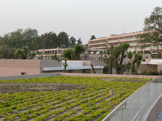 nasia-kikidou-projects-ikos-dassia-8