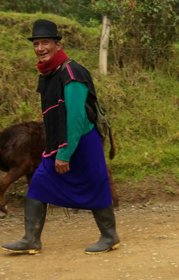 Un homme ramenant ses vaches