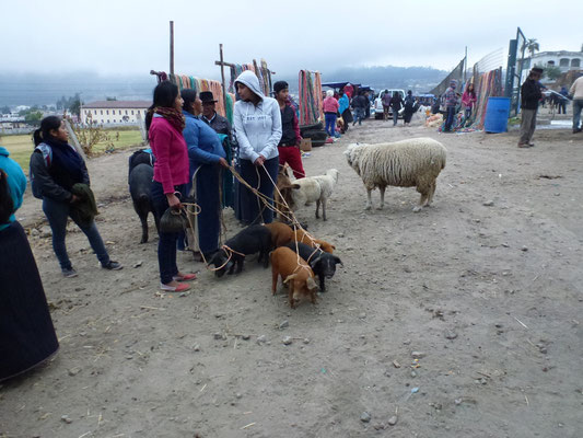 Marché aux animaux