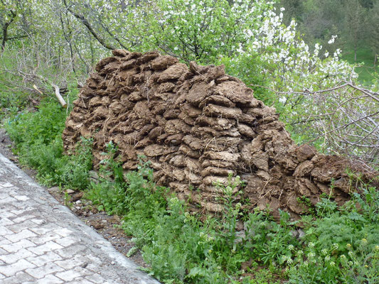 Stokage des briques de fumier sèches