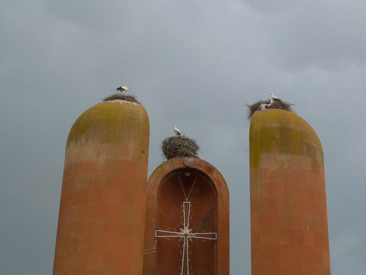 Des cigognes partout dans le paysage