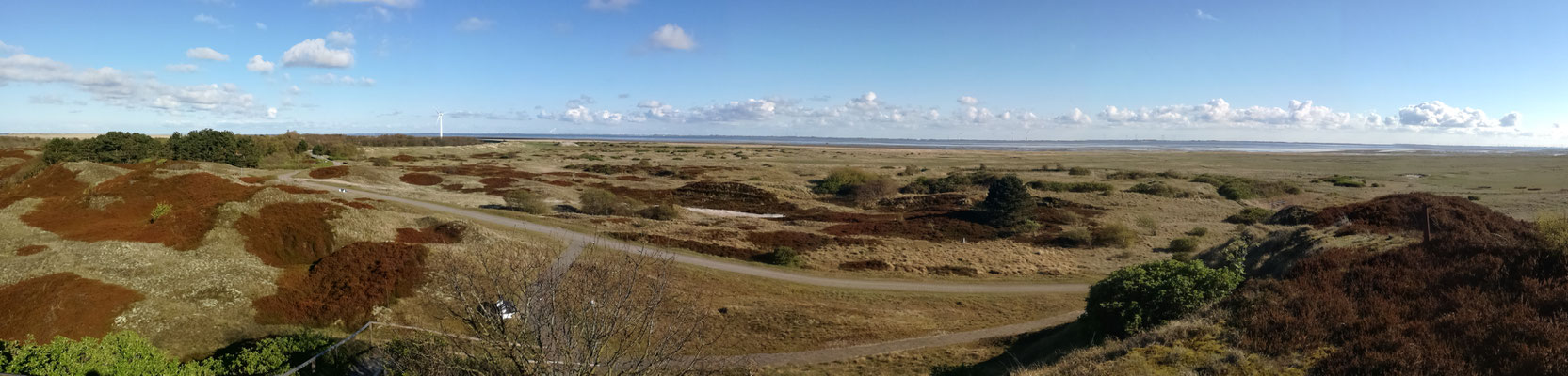 Brüten hier vielleicht Brandgänse?!