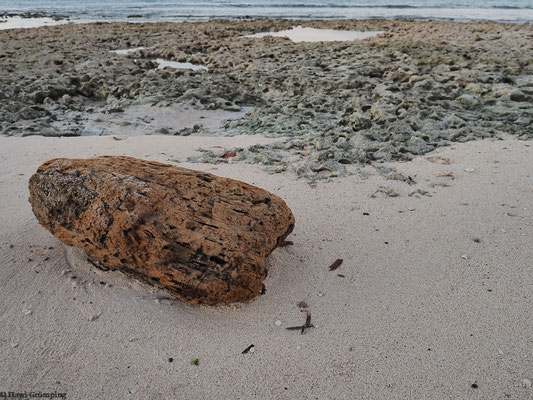 Strandabschnitt Guardalavaca