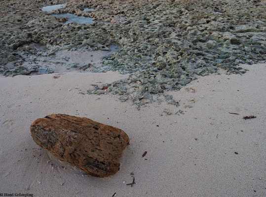 Strandabschnitt Guardalavaca