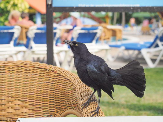 Angekommen in Guardalavaca!