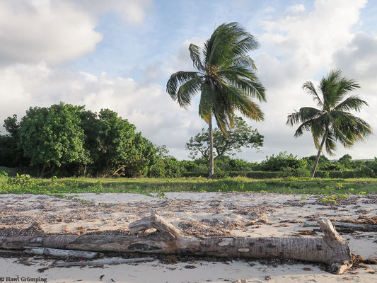 Strand von Guardalavaca