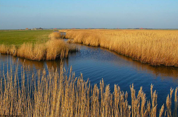 Ameland/Niederlande