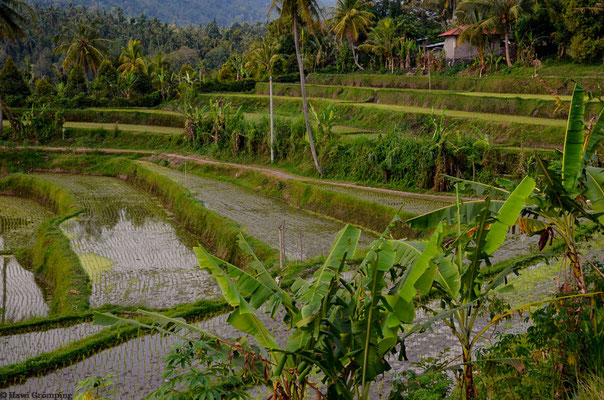 Bali/Indonesien