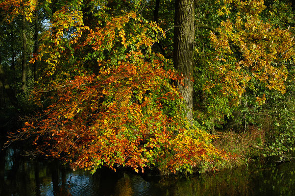 Ein Spaziergang lohnt sich zu jeder Jahreszeit, aber die Herbstfarbensind ein besonderes highlight.