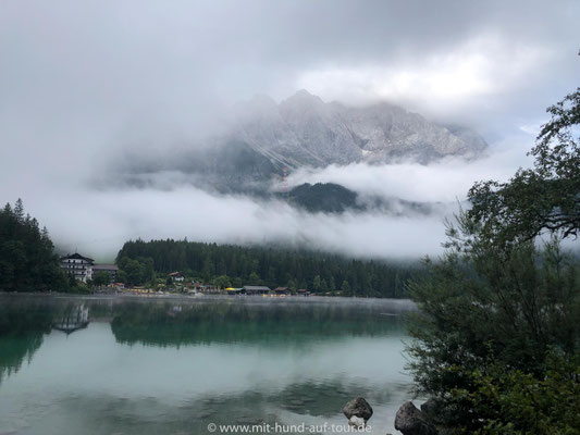 Morgennebel am Eibsee, Bayern, Mit Hund auf Tour