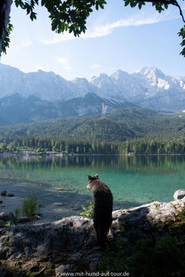 Mit Hund auf Tour am Eibsee in Bayern unter der Zugspitze