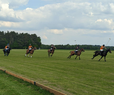 der Hanseatische Dolzer Polo Cup