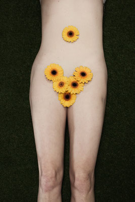 Manuela Deigert Fotokunst, Fine Art Natur, Intimsphäre, Körper auf einer Wiese mit gelben Gerberas im Schambereich