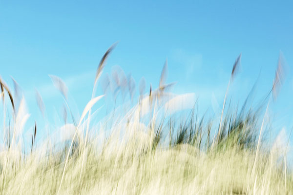 Manuela Deigert Meeresfarben, Flüstern am Meer. Inseldüne mit Strandhafer und blauem Himmel, künstlerisch verwischt durch ICM