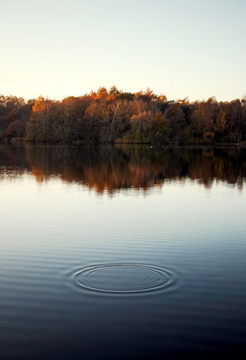 Manuela Deigert Natur Fine Art Seelandschaft mit Kreisen im Wasser