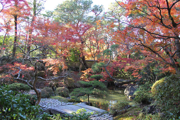 南禅寺横　仕入先の庭園　清流亭　重要文化財