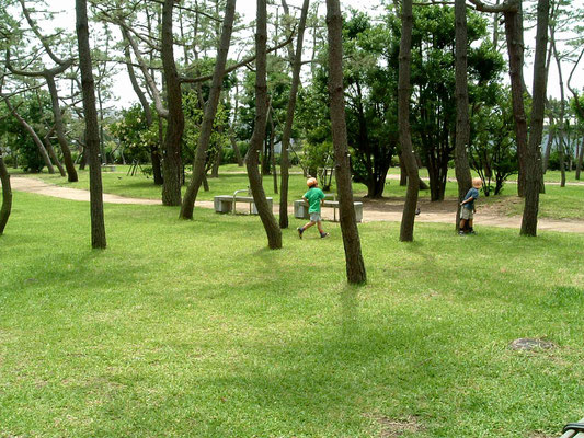 兵庫県立舞子公園