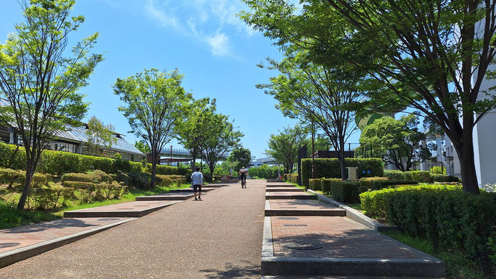 みなとの森公園